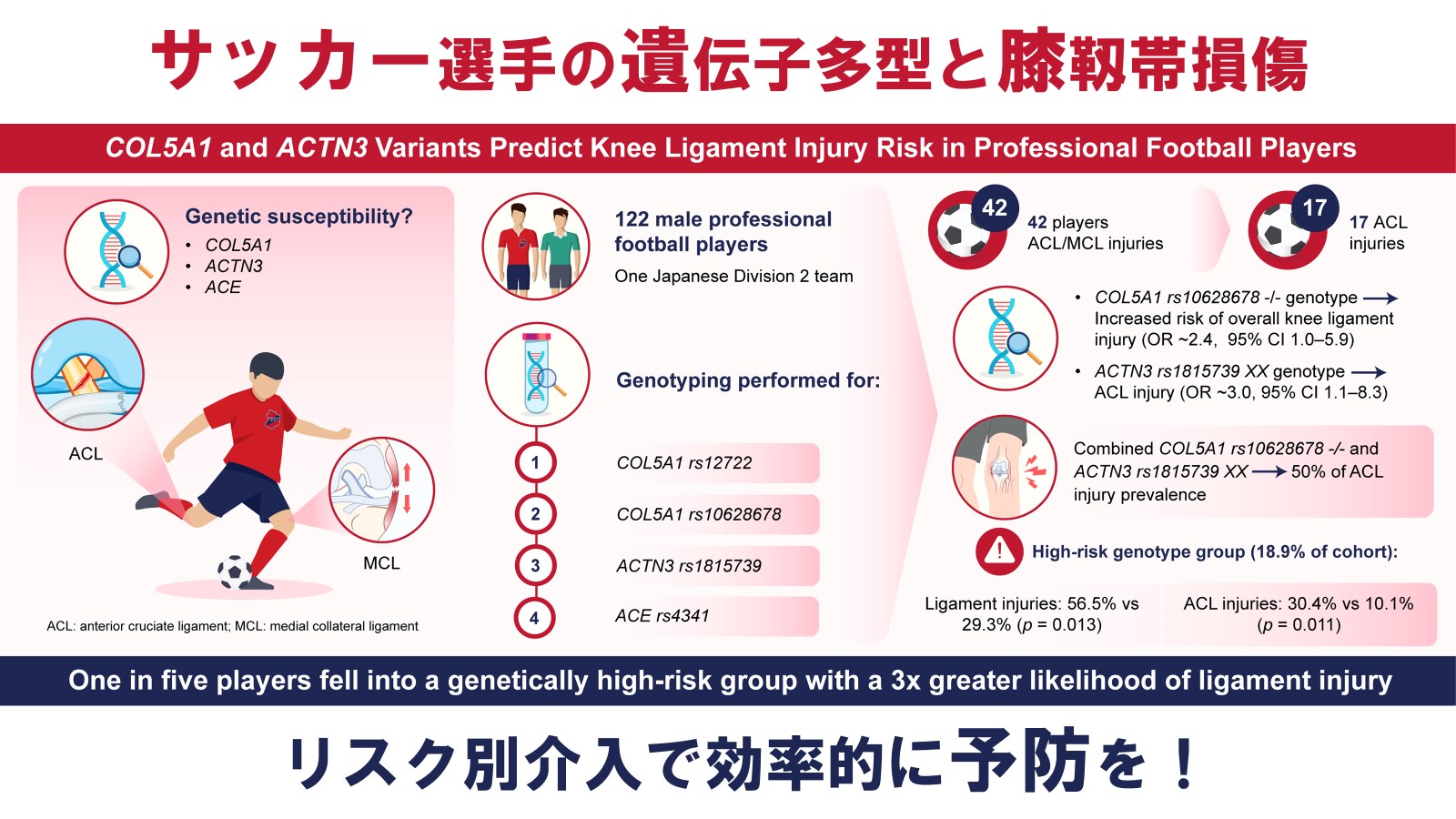 ACL injury genetics research